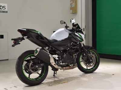 Kawasaki Z250 2019