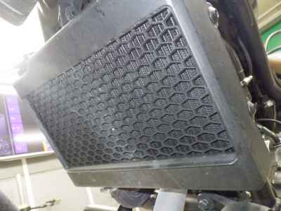 Honda Rebel S CMX250 2023