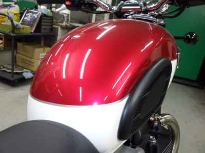 Triumph Bonneville T100 2024