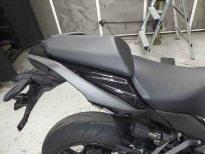 Kawasaki Ninja 1100SX 2025