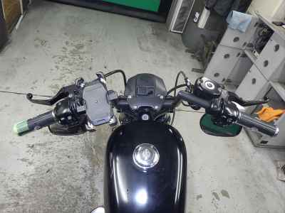 Harley-Davidson Sportster Iron XL883N 2011