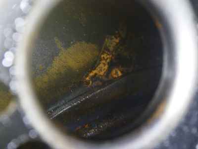 Triumph Street Scrambler 2024