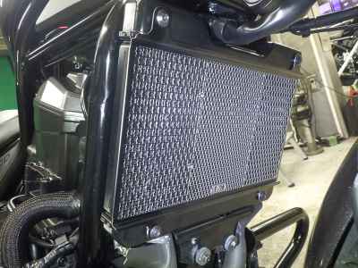 Honda Rebel CMX1100 2023