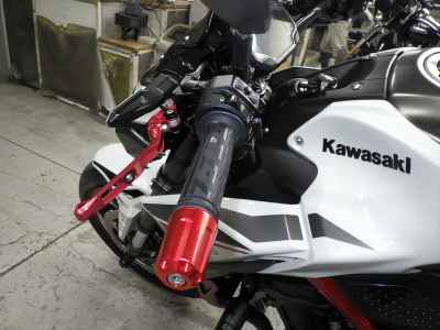 Kawasaki Z900 2022
