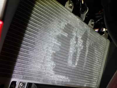 Kawasaki Ninja 250 2022