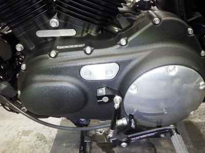 Harley-Davidson Sportster Forty-Eight XL1200X 2018