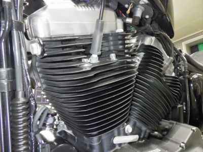 Harley-Davidson Sportster Forty-Eight XL1200X 2018