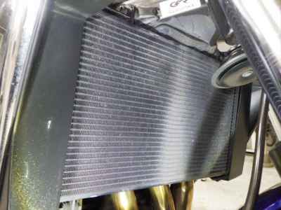 Kawasaki ZRX1200 Daeg 2009