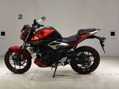 Yamaha MT-25 2016