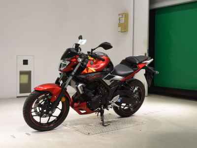 Yamaha MT-25 2016