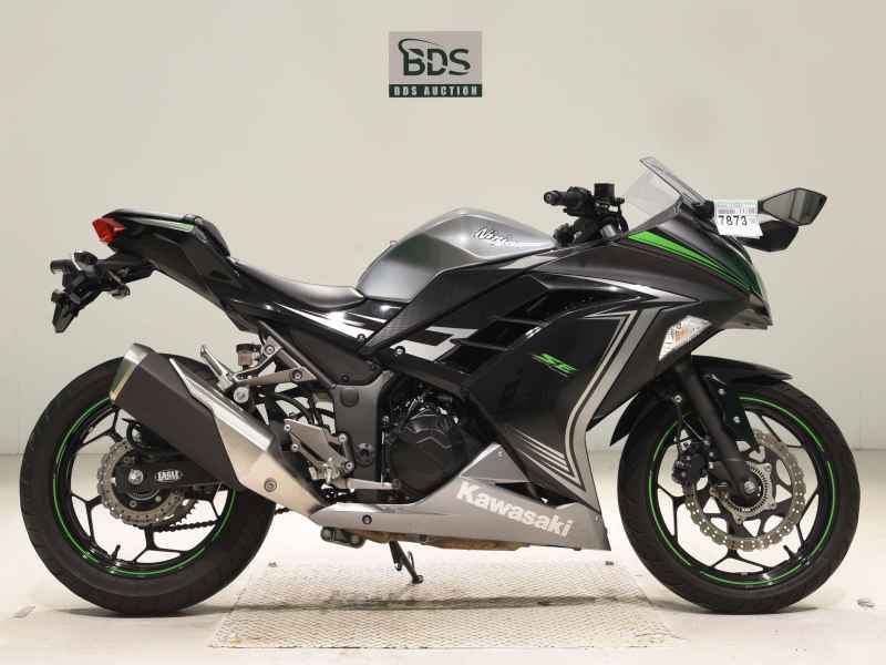 Kawasaki Ninja 250 2015