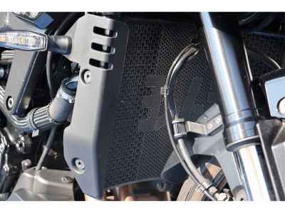 Suzuki GSX-S1000S Katana 2019