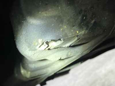 Harley-Davidson ACCESS125 2022