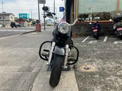 Harley-Davidson FLSTFB 2010