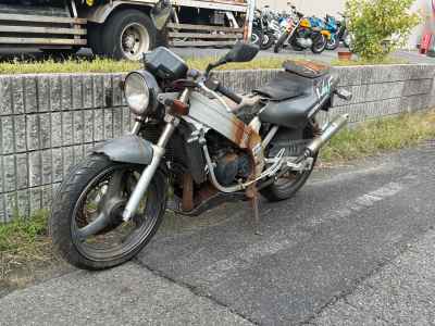 Suzuki WOLF250