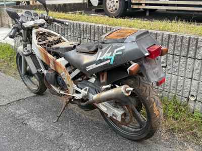 Suzuki WOLF250