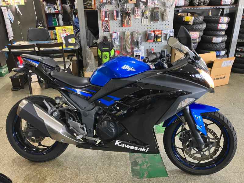 Kawasaki Ninja 250