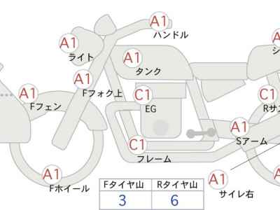 Yamaha FZ1 Fazer 2009