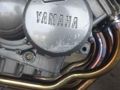 Yamaha ZEAL FZX250