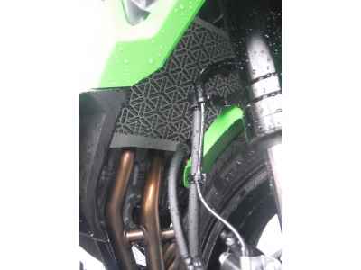 Kawasaki Ninja 400 2025