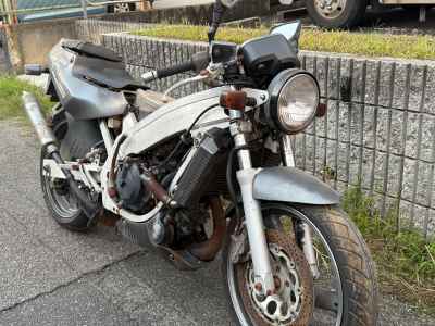 Suzuki WOLF250