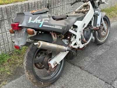 Suzuki WOLF250