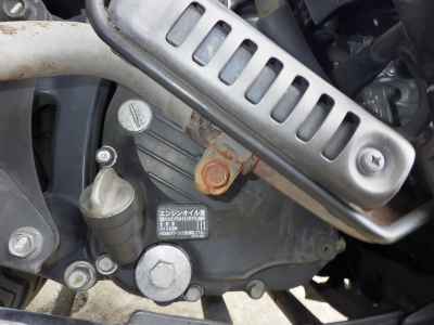 Honda PS250 Big Ruckus 2006