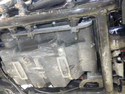 Harley-Davidson Street Rod XG750A 2020