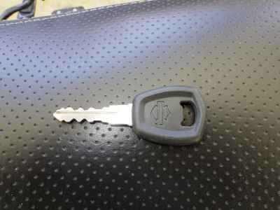 Harley-Davidson Street Rod XG750A 2020