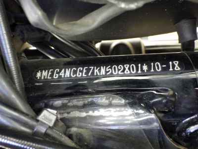 Harley-Davidson Street Rod XG750A 2020