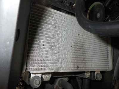 Kawasaki Ninja 250 2017