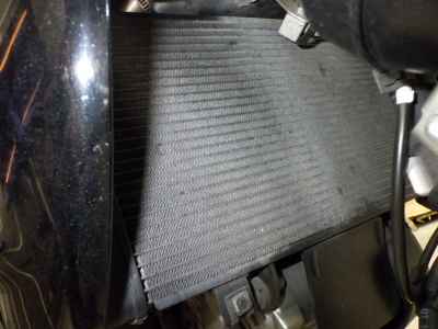 Suzuki Gladius SFV400 2010