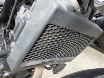 Honda Rebel CMX250 2019