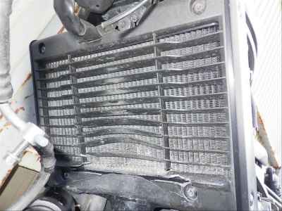 Honda Rebel CMX1100 DCT 2021