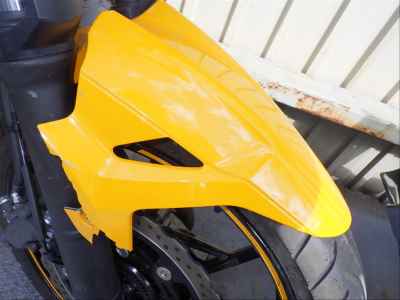 Kawasaki Ninja 250 2019