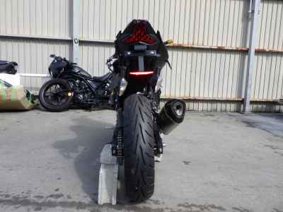 Kawasaki Ninja 250 2019