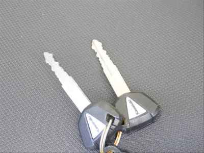 Kawasaki Ninja 250 2019