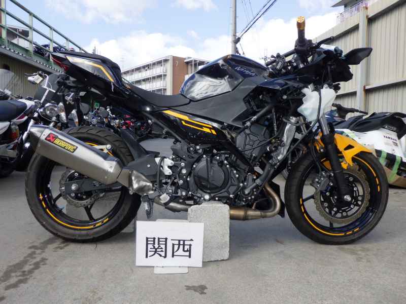 Kawasaki Ninja 250 2019