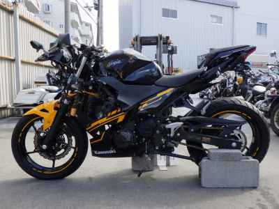 Kawasaki Ninja 250 2019