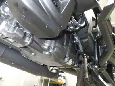 Honda Rebel CMX1100 DCT 2025