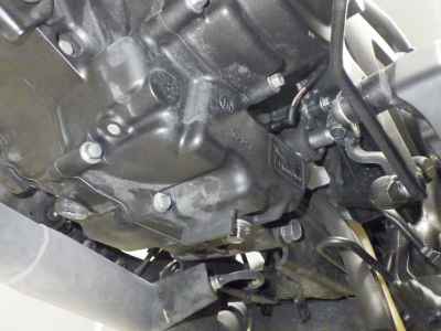 Honda Rebel CMX250 2019