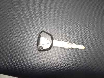 Kawasaki Ninja 1000 2019