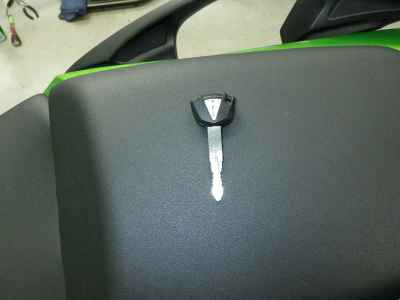 Kawasaki Ninja 1000 2014