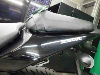 Kawasaki Ninja 250R 2021