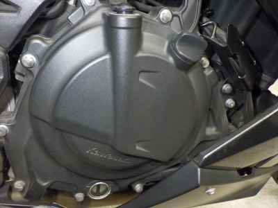 Kawasaki Ninja 250 2021