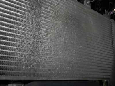 Kawasaki Ninja 250 2021