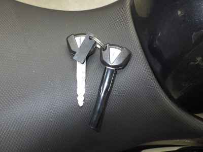 Kawasaki Ninja 250 2021