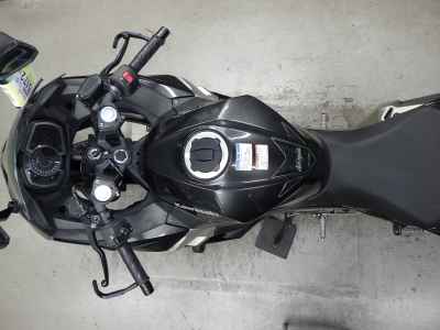 Kawasaki Ninja 250 2021