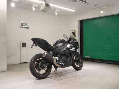 Kawasaki Ninja 250 2021