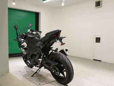 Kawasaki Ninja 250 2021